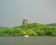 滨江天气预报10天